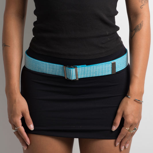 CEINTURE BLEUE POUR ANIMAUX MORTS