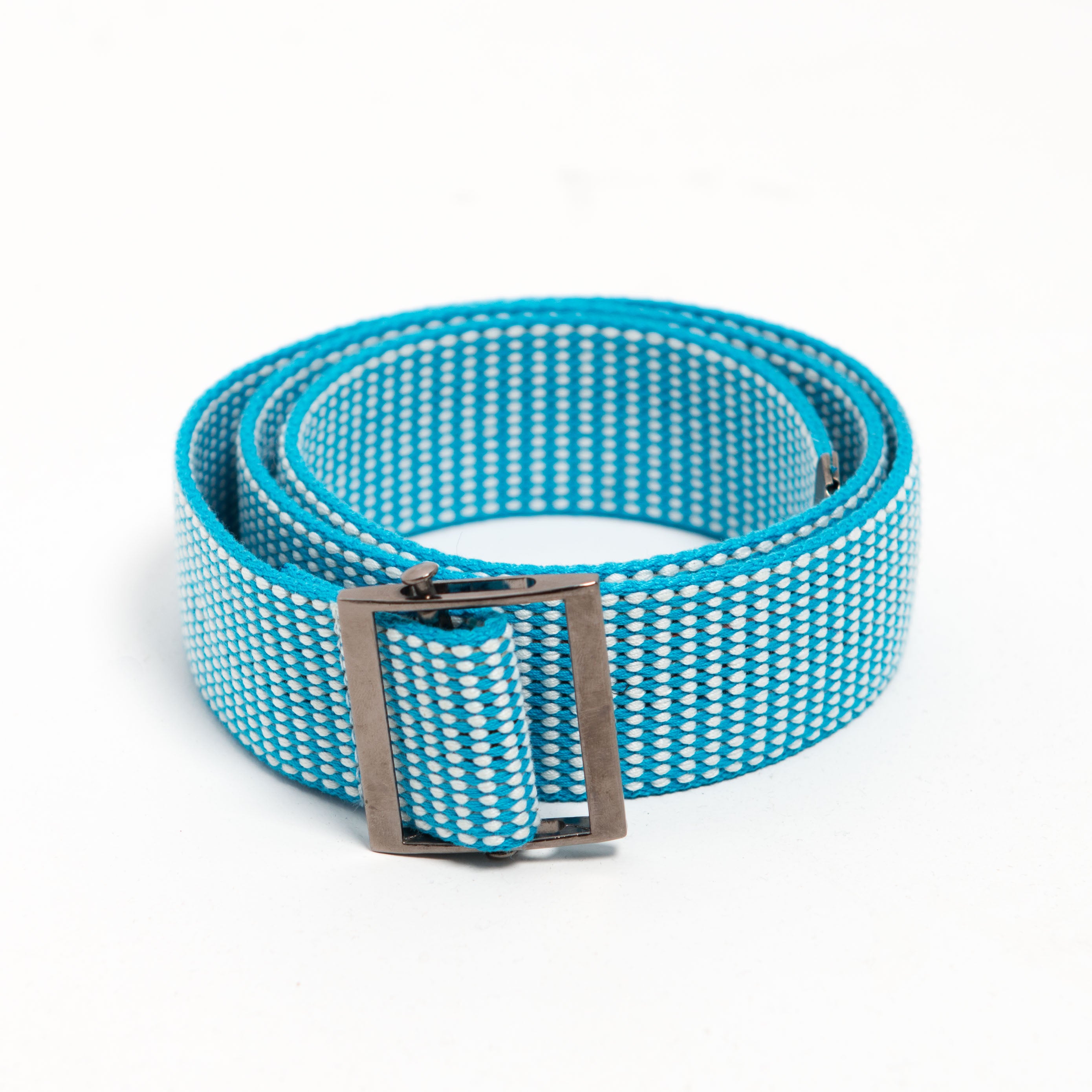 CEINTURE BLEUE POUR ANIMAUX MORTS